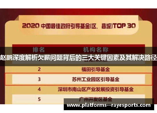 赵鹏深度解析欠薪问题背后的三大关键因素及其解决路径