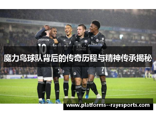 魔力鸟球队背后的传奇历程与精神传承揭秘