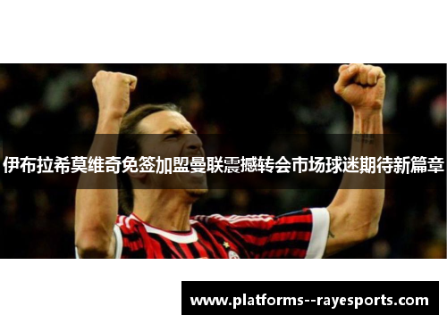 伊布拉希莫维奇免签加盟曼联震撼转会市场球迷期待新篇章